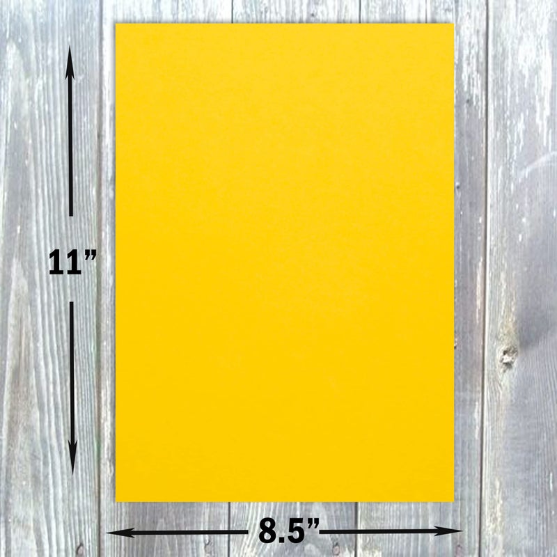 Hamilco Colored Cardstock Scrapbook Paper 8.5" x 11" Dandelion Yellow Color Card Stock Paper 50 Pack - Image 2